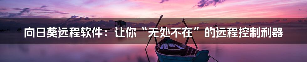 向日葵远程软件:让你“无处不在”的远程控制利器