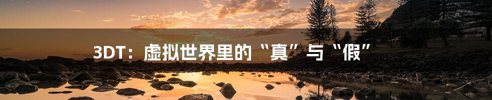 3DT:虚拟世界里的“真”与“假”