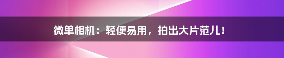 微单相机:轻便易用,拍出大片范儿!