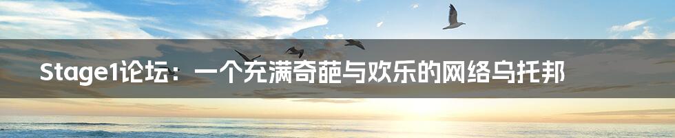 Stage1论坛:一个充满奇葩与欢乐的网络乌托邦