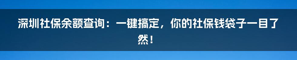 深圳社保余额查询：一键搞定，你的社保钱袋子一目了然！