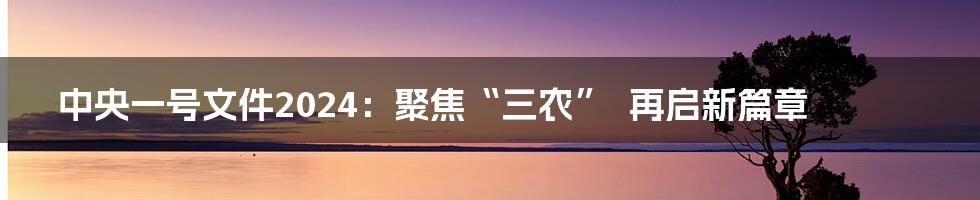 中央一号文件2024：聚焦“三农”  再启新篇章