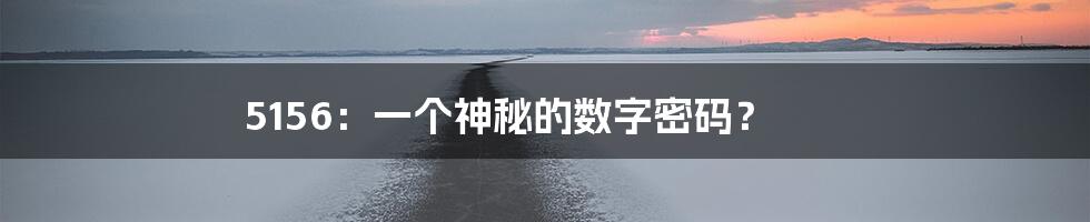 5156:一个神秘的数字密码?