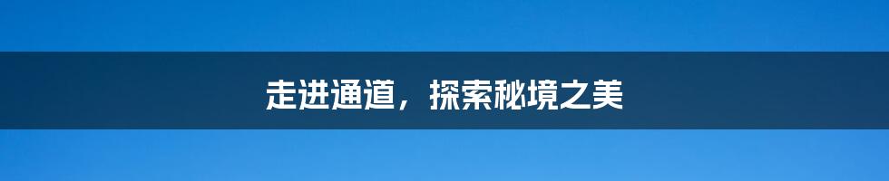 走进通道,探索秘境之美
