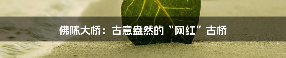 佛陈大桥:古意盎然的“网红”古桥