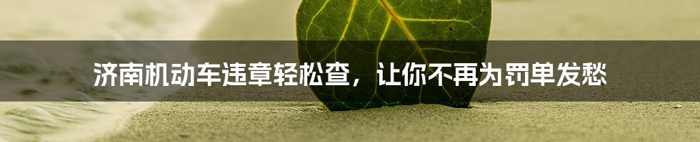 济南机动车违章轻松查,让你不再为罚单发愁