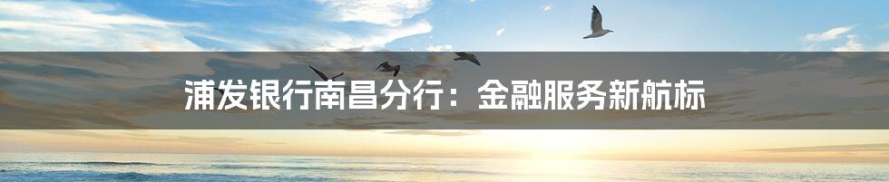 浦发银行南昌分行:金融服务新航标