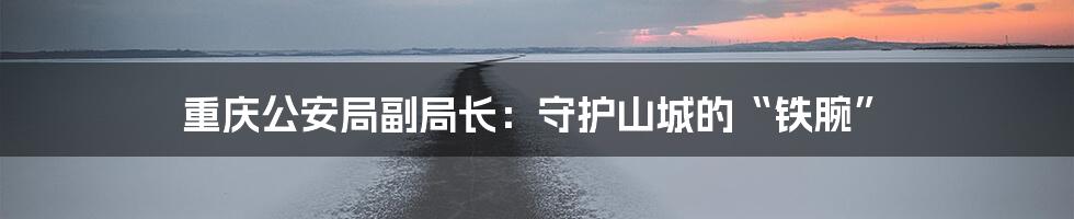 重庆公安局副局长：守护山城的“铁腕”