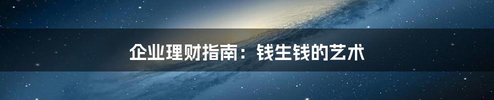 企业理财指南:钱生钱的艺术