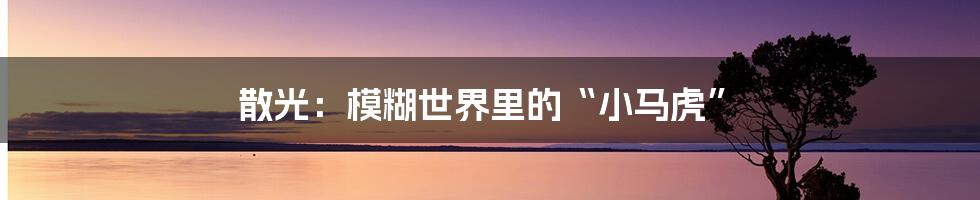 散光:模糊世界里的“小马虎”
