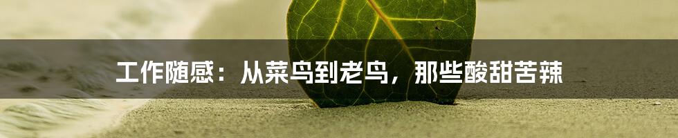 工作随感:从菜鸟到老鸟,那些酸甜苦辣