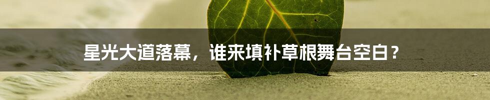 星光大道落幕,谁来填补草根舞台空白?