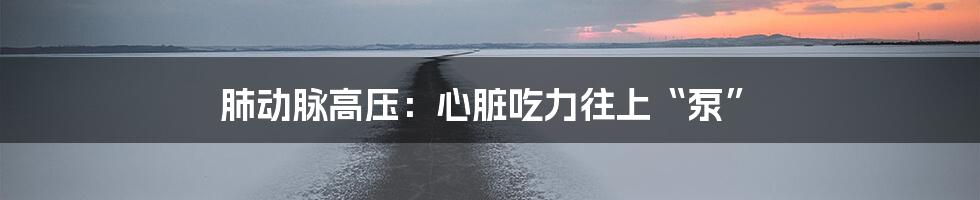 肺动脉高压:心脏吃力往上“泵”