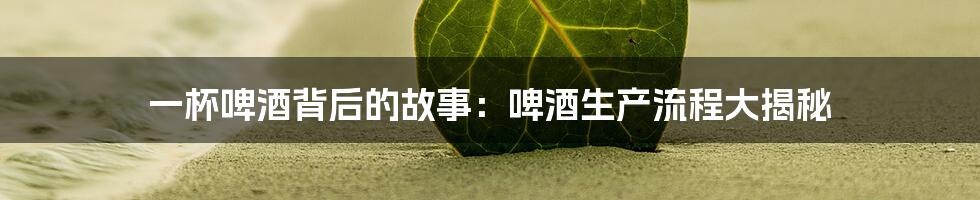 一杯啤酒背后的故事：啤酒生产流程大揭秘