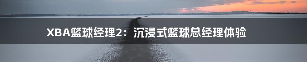 XBA篮球经理2：沉浸式篮球总经理体验