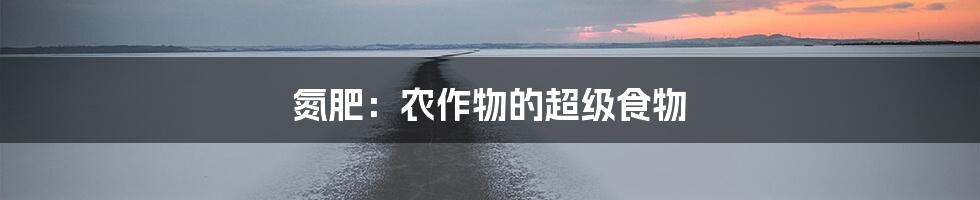 氮肥：农作物的超级食物