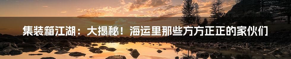 集装箱江湖:大揭秘!海运里那些方方正正的家伙们