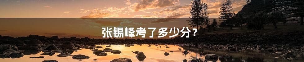张锡峰考了多少分?