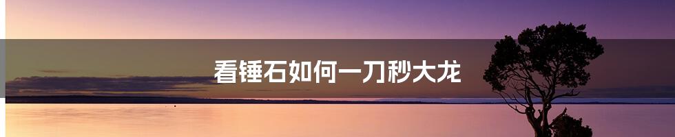 看锤石如何一刀秒大龙