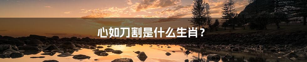 心如刀割是什么生肖?