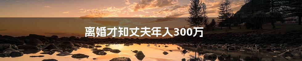 离婚才知丈夫年入300万