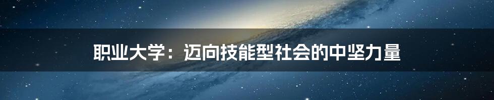 职业大学:迈向技能型社会的中坚力量