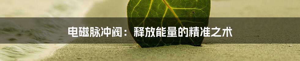 电磁脉冲阀:释放能量的精准之术
