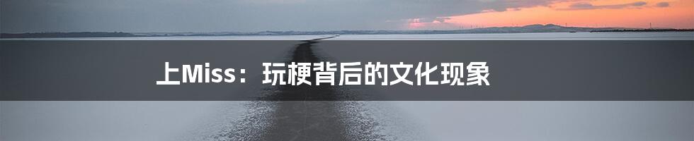 上Miss：玩梗背后的文化现象