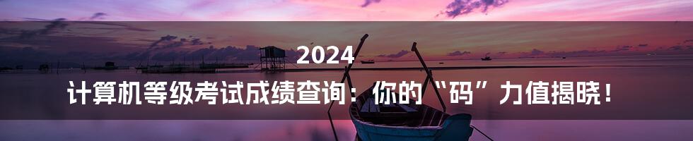2024 计算机等级考试成绩查询：你的“码”力值揭晓！