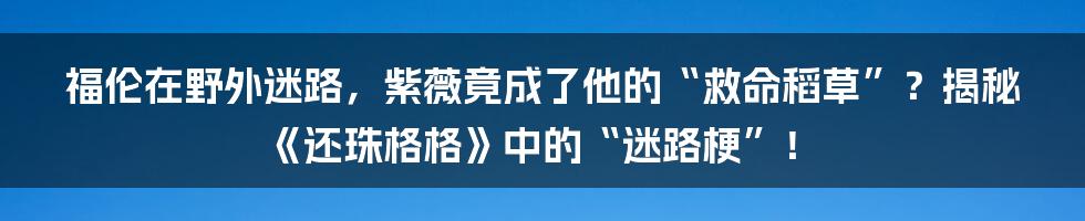 福伦在野外迷路,紫薇竟成了他的“救命稻草”?揭秘《还珠格格》中的“迷路梗”!