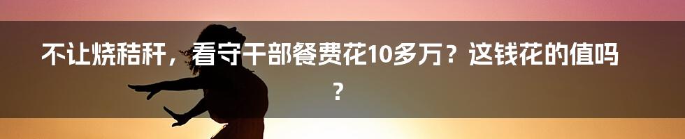 不让烧秸秆,看守干部餐费花10多万?这钱花的值吗?