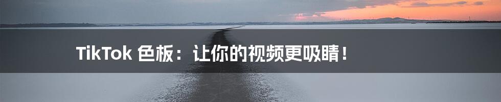 TikTok 色板：让你的视频更吸睛！
