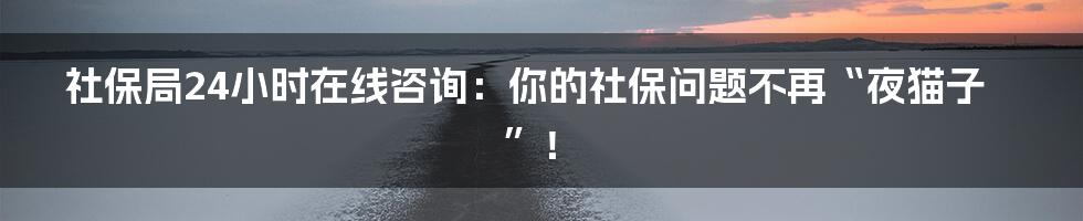 社保局24小时在线咨询:你的社保问题不再“夜猫子”!