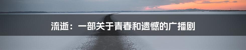 流逝：一部关于青春和遗憾的广播剧