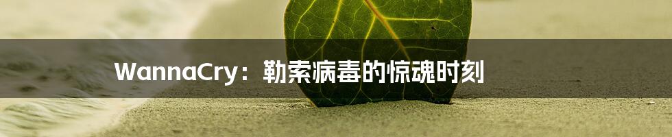 WannaCry:勒索病毒的惊魂时刻