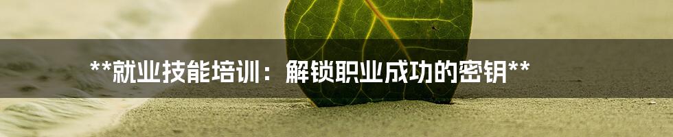 **就业技能培训:解锁职业成功的密钥**