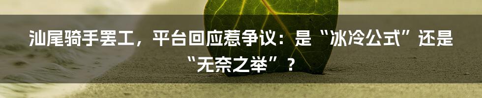 汕尾骑手罢工，平台回应惹争议：是“冰冷公式”还是“无奈之举”？
