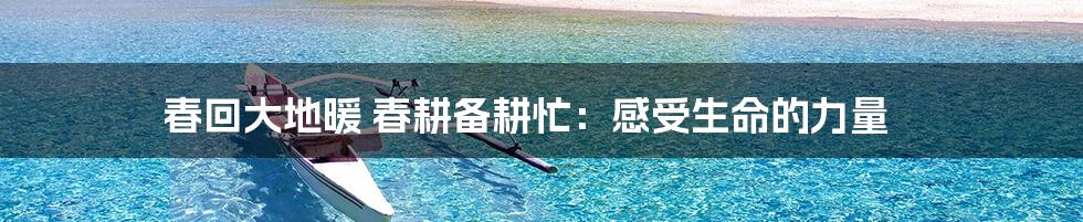 春回大地暖 春耕备耕忙:感受生命的力量