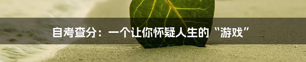 自考查分:一个让你怀疑人生的“游戏”