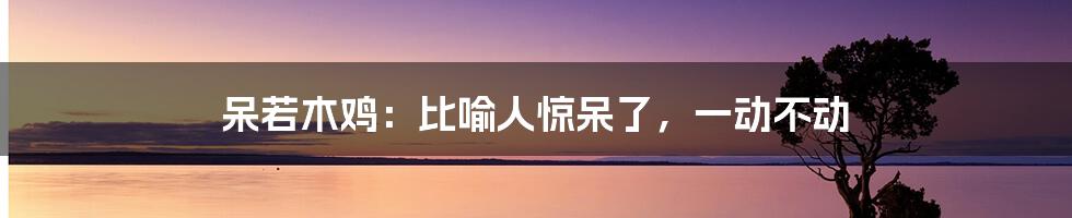 呆若木鸡：比喻人惊呆了，一动不动