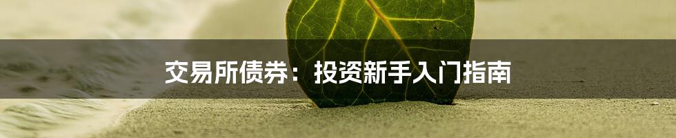 交易所债券:投资新手入门指南