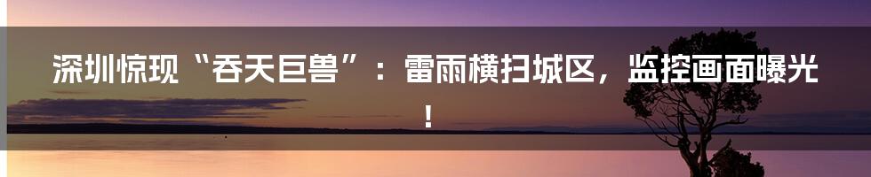 深圳惊现“吞天巨兽”:雷雨横扫城区,监控画面曝光!