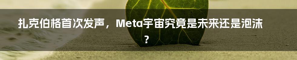扎克伯格首次发声,Meta宇宙究竟是未来还是泡沫?