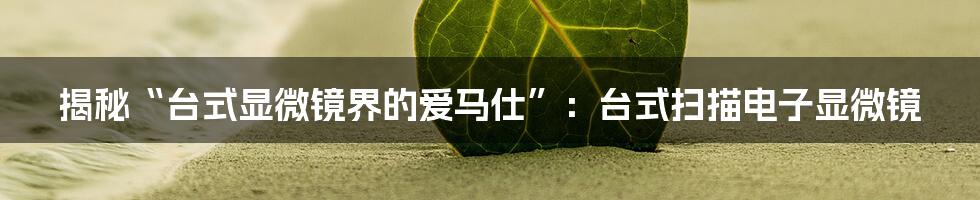 揭秘“台式显微镜界的爱马仕”:台式扫描电子显微镜