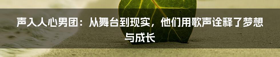 声入人心男团:从舞台到现实,他们用歌声诠释了梦想与成长