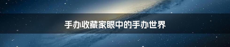 手办收藏家眼中的手办世界