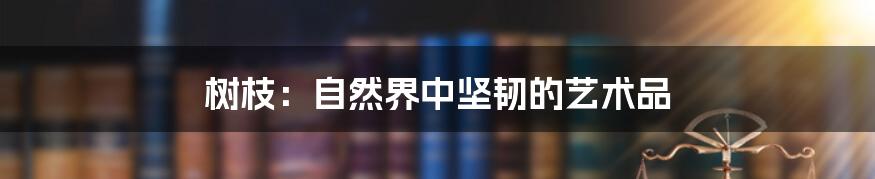 树枝：自然界中坚韧的艺术品