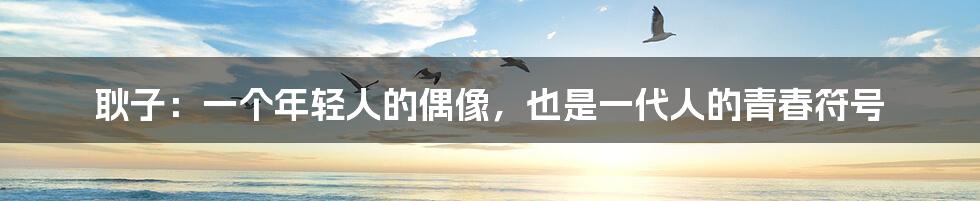 耿子：一个年轻人的偶像，也是一代人的青春符号