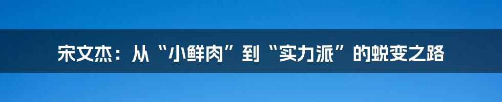 宋文杰:从“小鲜肉”到“实力派”的蜕变之路