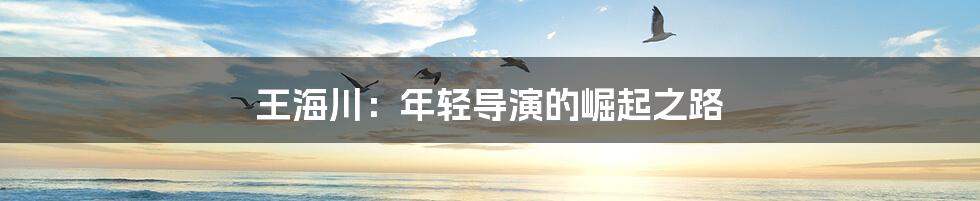 王海川:年轻导演的崛起之路